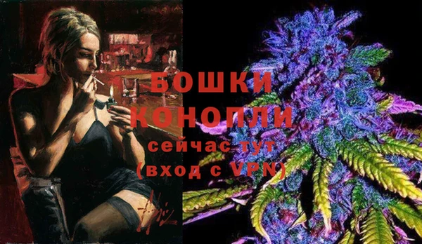 дмт Новозыбков